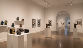The Art of Display: Museum-Quality Presentation for Your Collection